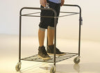 Commercial Laundry Cart , H 37.6" x W 21.8" x L 35.8" - AF08156